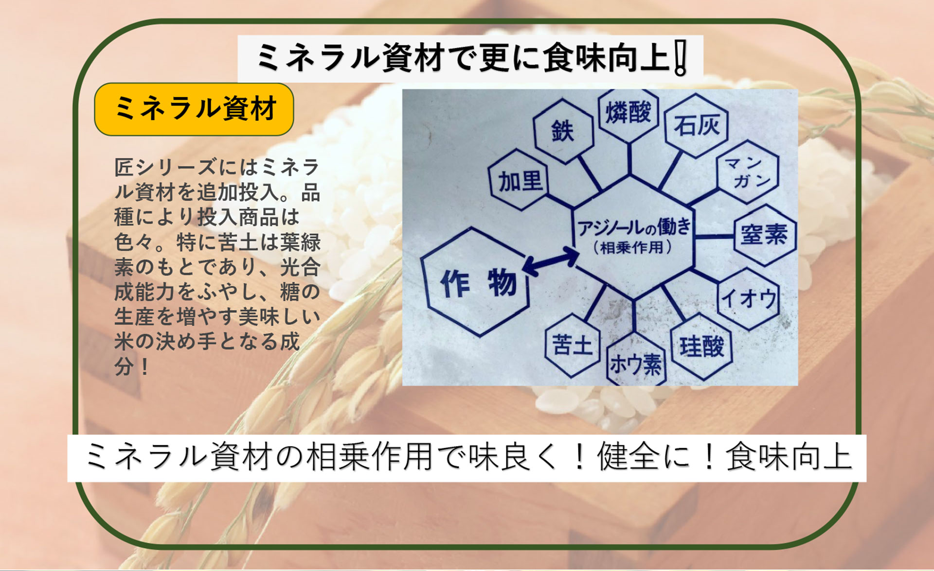 プレミアム米「匠」の違い　2